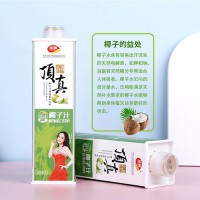 頂真椰子汁植物蛋白飲品解膩解辣原榨椰汁飲料