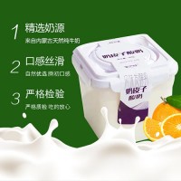 蒙伊醇酸奶 900g*2桶低溫冷藏雙皮奶兒童營(yíng)養(yǎng)活菌原味